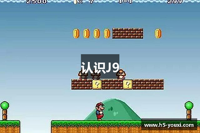 认识J9